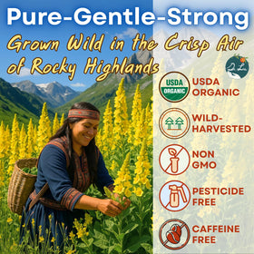 Close-up of Dr. Lu mullein tea bags with corn fiber pyramids