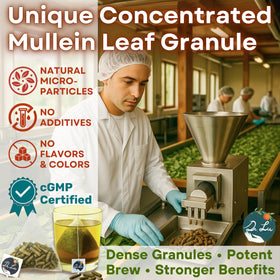 Dr. Lu mullein tea brewing in a cup with aroma