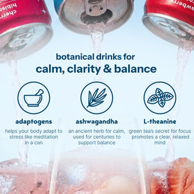 Closeup of Moment ingredients featuring hibiscus, ashwagandha, and L-Theanine