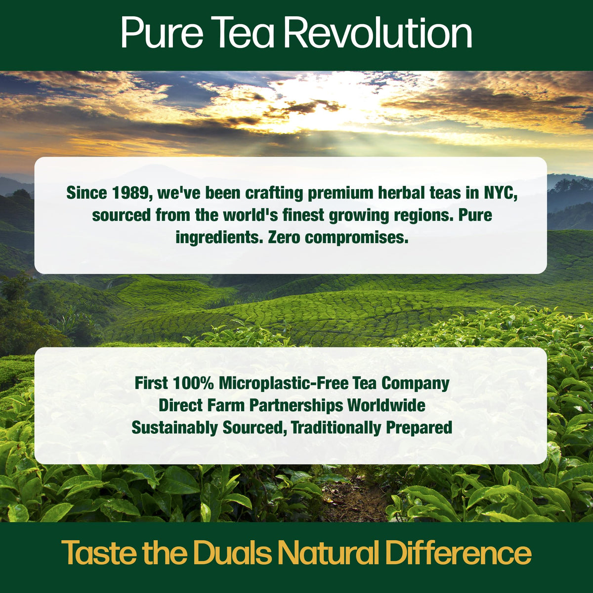 dualspices relaxing tea time with chamomile liquid in glass, inviting peaceful evenings