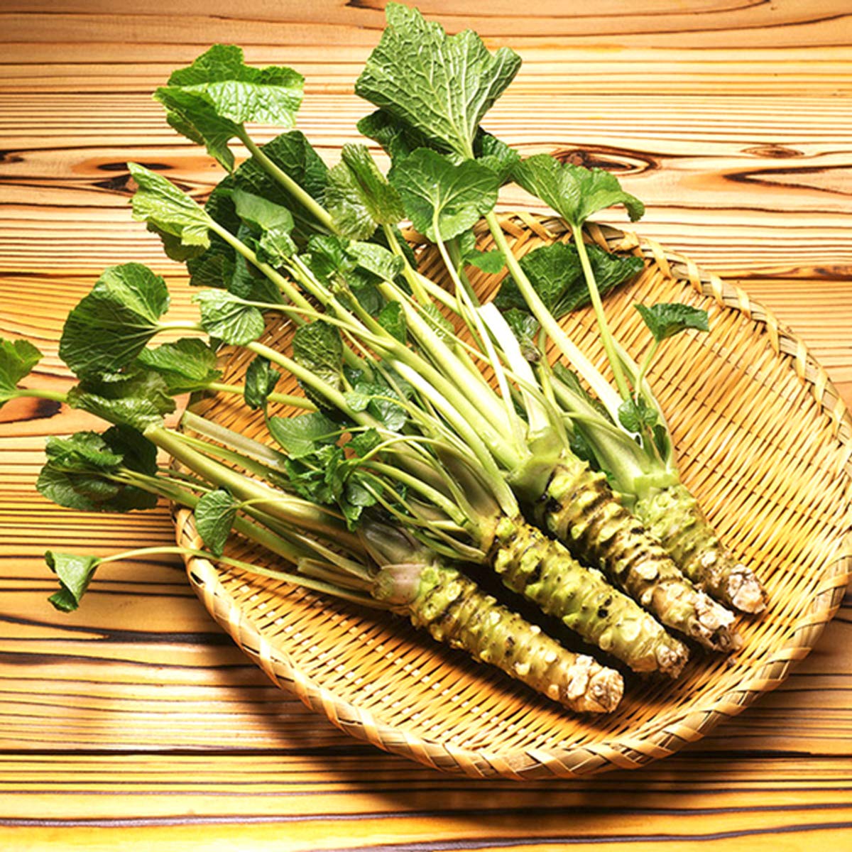 Dualspices Wasabi powder shines in home sushi nights.