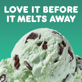 Dunkin Mint Chip mug steam, implying a cozy morning pick-me-up.