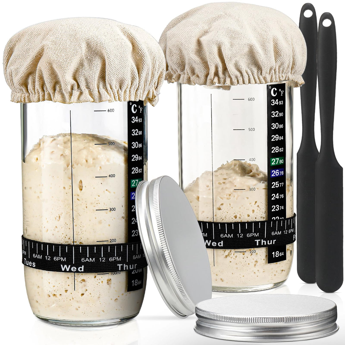 DWTS Danweitesi sourdough starter jar with date band for precise feeding