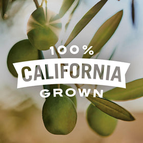 Early California open can of olives ready to serve