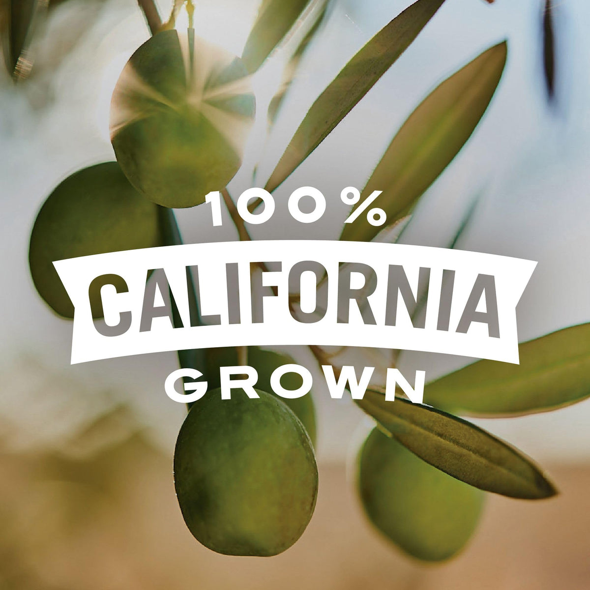 Early California Simply Olives on a serving board, elevating charcuterie spreads.