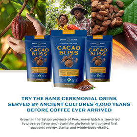 Earth Echo Cacao Bliss gluten-free-vegan-label signals dietary-friendly product.