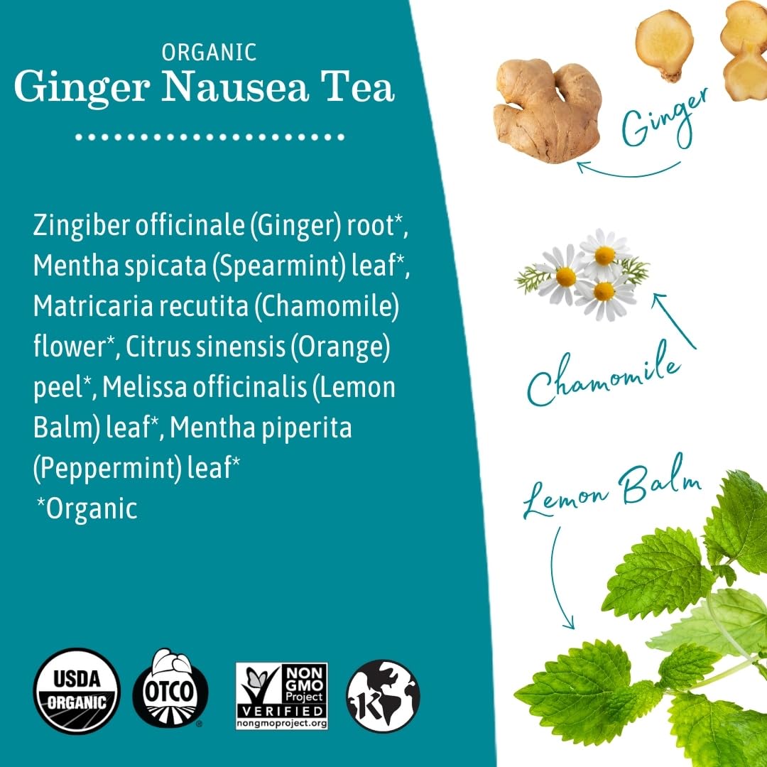 Earth Mama Ginger Nausea Tea ginger root and herbs close-up for aromatic notes