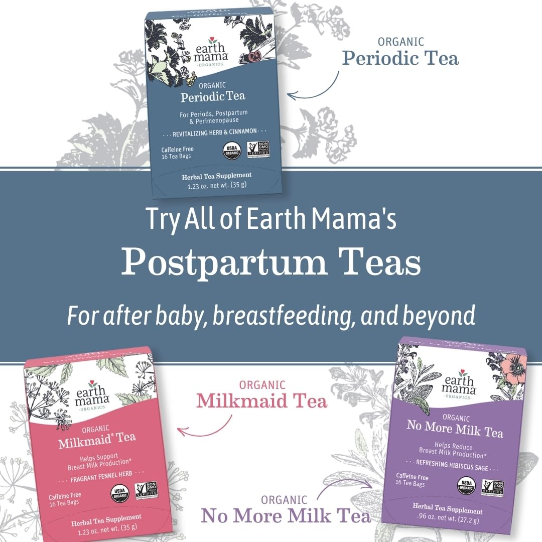 Earth Mama Ginger Nausea Tea label close-up showing organic certification