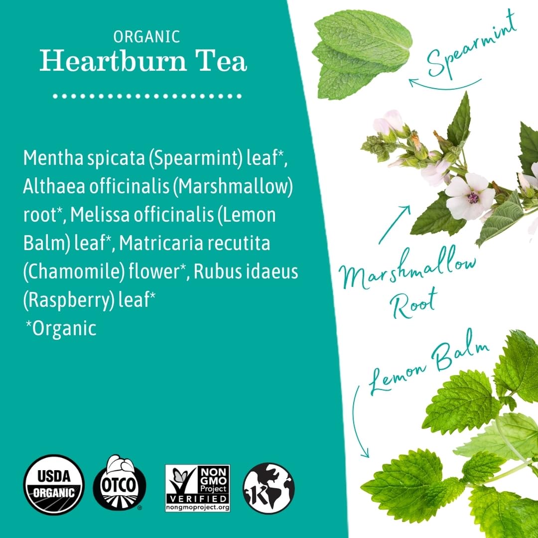 Earth Mama Heartburn Tea glass filled with iced herbal infusion.
