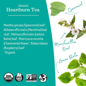 Earth Mama Heartburn Tea glass filled with iced herbal infusion.