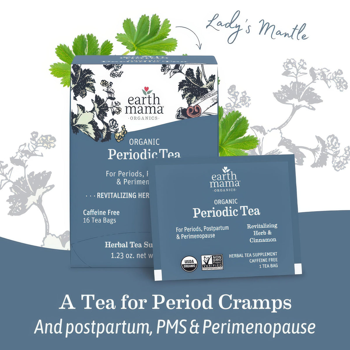 Earth Mama Organic Periodic Tea red raspberry leaf yields fruity aroma and smooth cup
