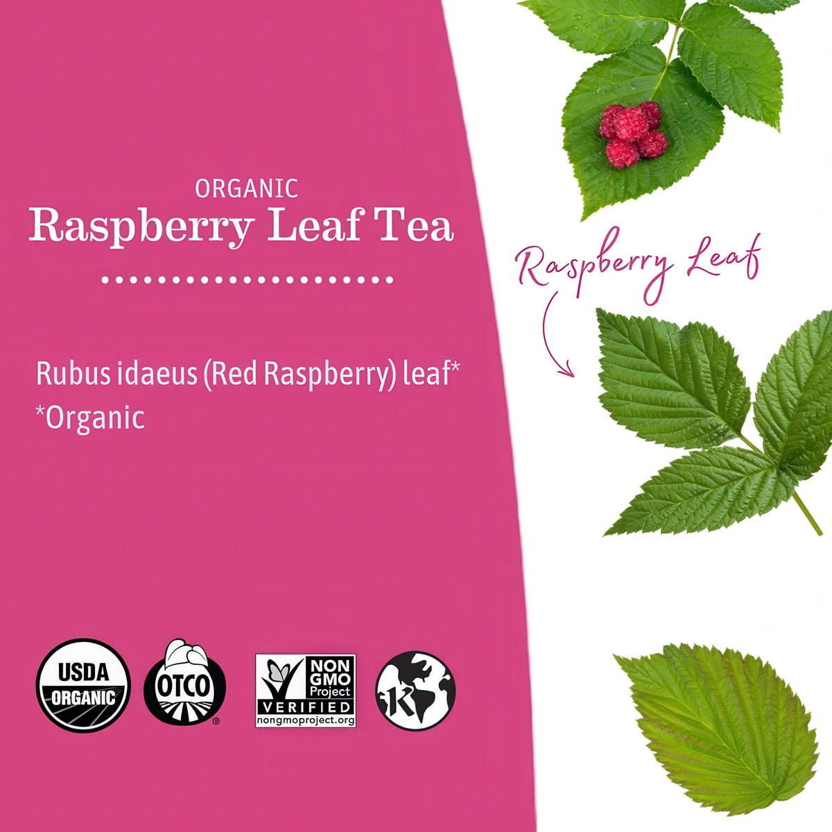 Earth Mama Organic Raspberry Leaf Tea hot cup close-up with rich color