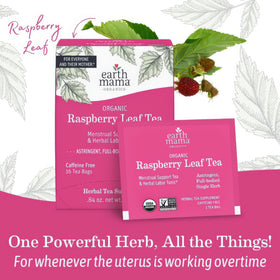 Earth Mama Organic Raspberry Leaf Tea iced glass with refreshing look