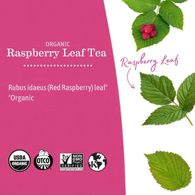 Earth Mama Organic Raspberry Leaf Tea steeping cup with warm aroma