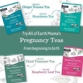 Fresh mint aroma with Earth Mama Third Trimester Tea in a cup.