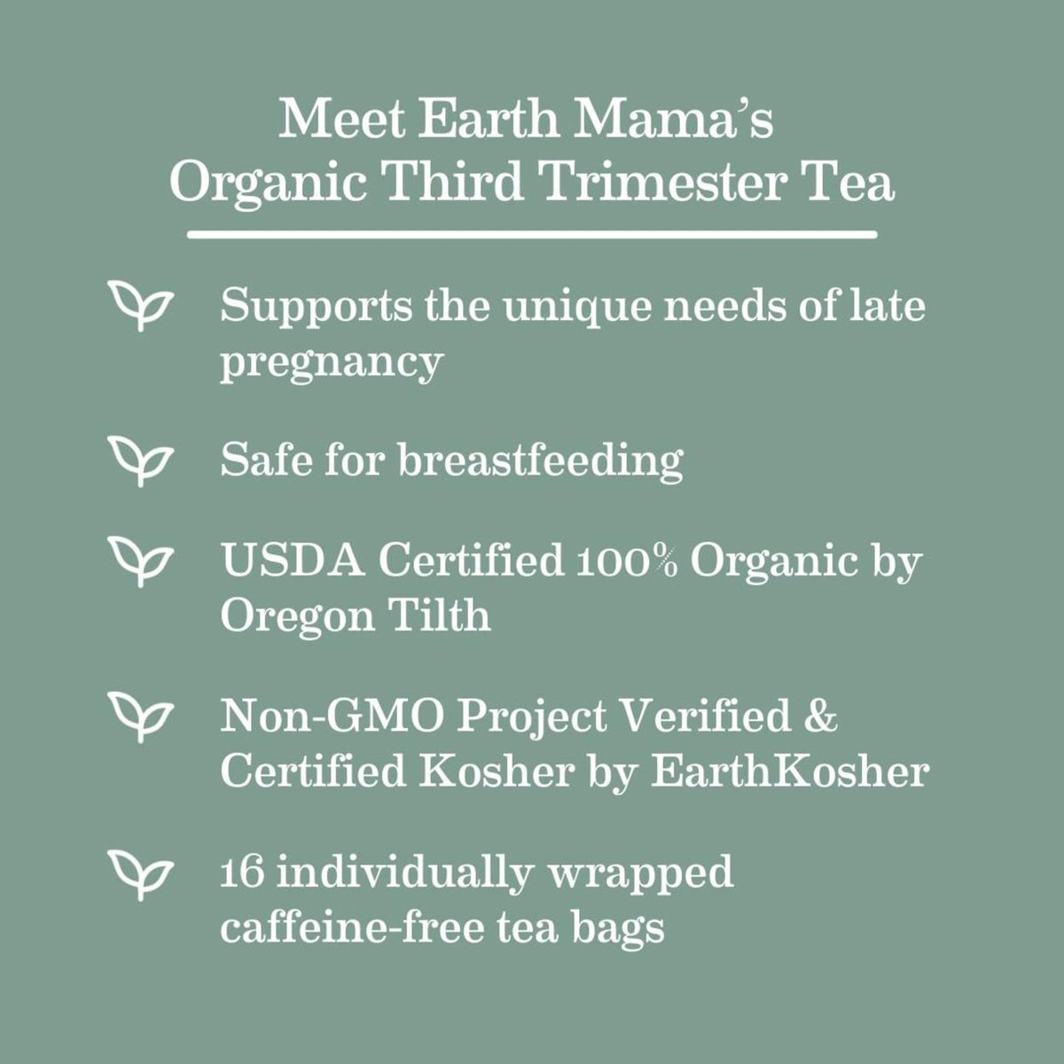 Earth Mama third-trimester tea infuser steep scene showing a relaxing ritual for busy days.
