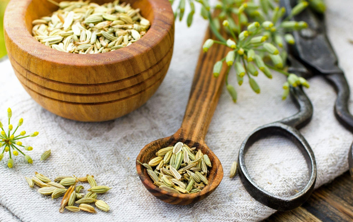 EarthWise Aromatics fennel seeds 1.5 lb bag ideal for home pantries and long-term storage.