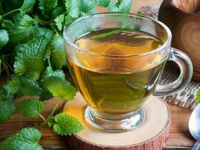 EarthWise Aromatics Lemon Balm tea-steeping, fragrant leaves release calm notes.