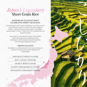 East and Else Koshihikari raw short-grain rice close-up with glossy grains.