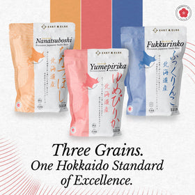 Yumepirika rice grains close-up showing texture ideal for sushi