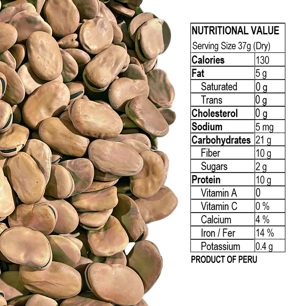 Eastern Feast broad fava beans closeup—creamy texture when cooked.
