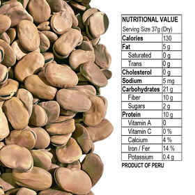 Eastern Feast broad fava beans closeup—creamy texture when cooked.