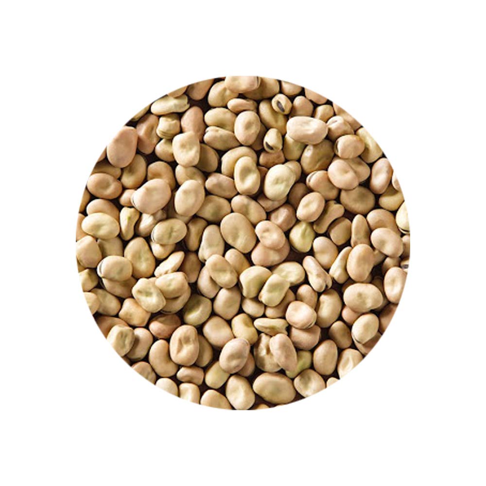 Eastern Feast dry foul fava mini served dish suggests versatile, protein-packed meal ideas.