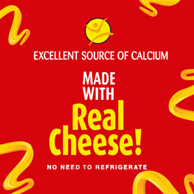 EASY CHEESE cheddar spray stored in a pantry for convenient snacking.