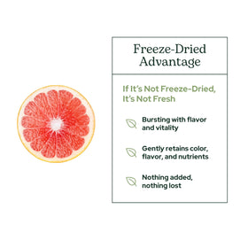 Eclectic Institute grapefruit powder in a glass showcases its vibrant powder color.