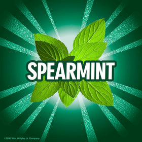 Eclipse Spearmint Sugar-Free Gum 60-piece bottle top view emphasizing long-lasting mint flavor.