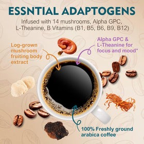ECO-TASTE 14-mushrooms blend graphic illustrating variety and benefits