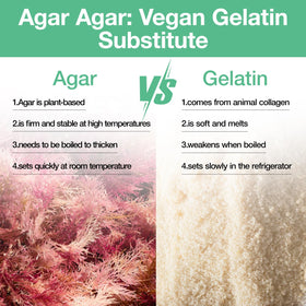 ECO-TASTE agar powder with scoop demonstrates convenient measurement for vegan thickening.