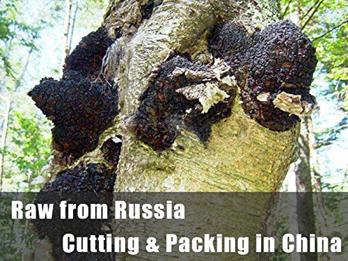 ECO-TASTE chaga chunks non-GMO and caffeine-free for versatile use.
