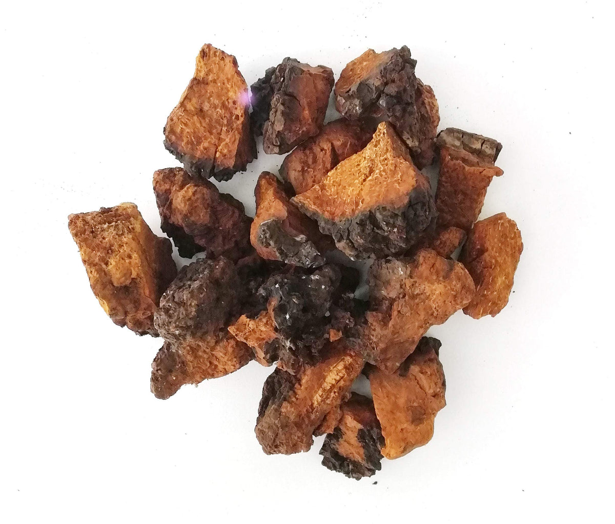 ECO-TASTE wild-harvested chaga chunks as a natural tea ingredient.