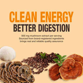 ECO-TASTE Fungipure mushrooms close-up highlights premium extract quality.