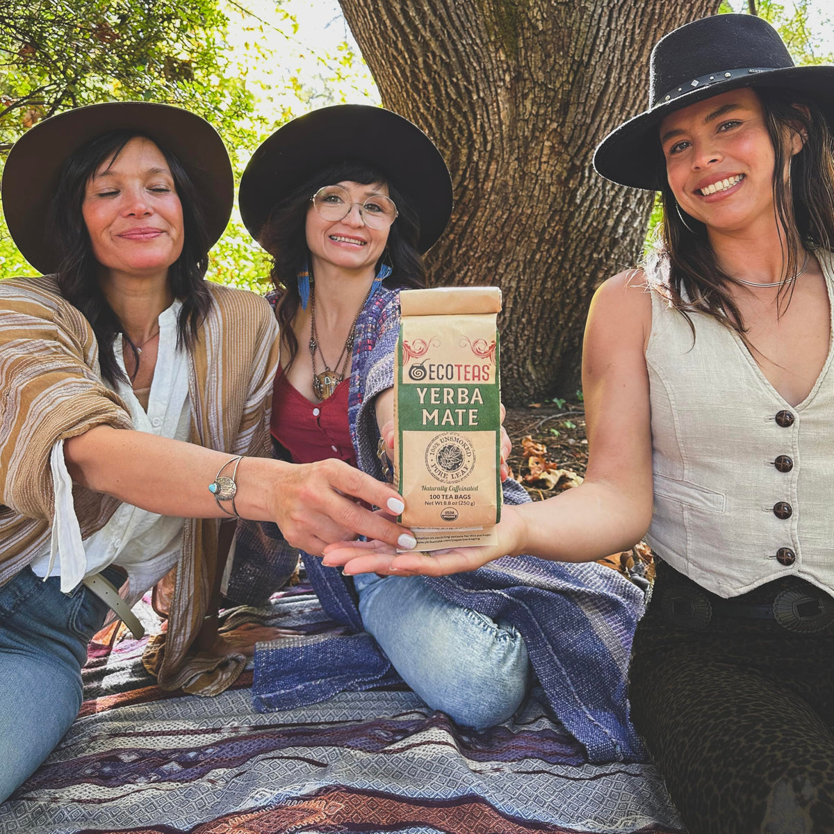 ECOTEAS organic Argentinian family farm scene signaling sustainable sourcing.