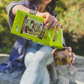 ECOTEAS Yerba Mate cold brew in glass illustrates refreshing versatility.