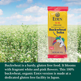 Eden buckwheat soba simmering in boiling water releases aroma.