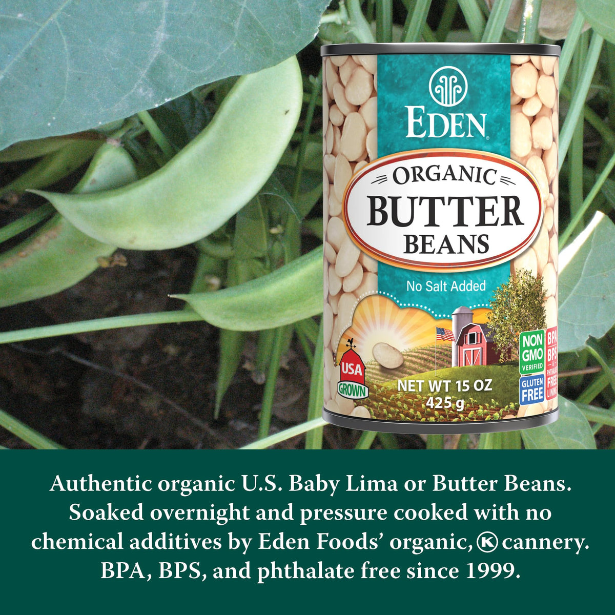 Eden Butter Beans serving bowl displays creamy texture perfect for soups.