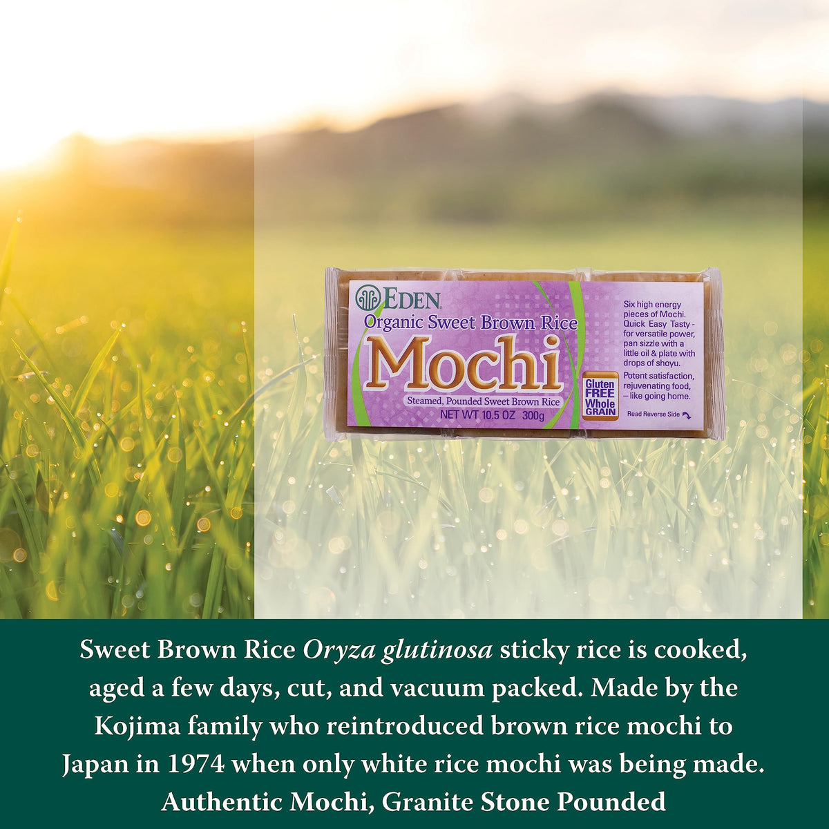 Ingredient label from Eden Foods Organic Sweet Brown Rice Mochi shows simple components.