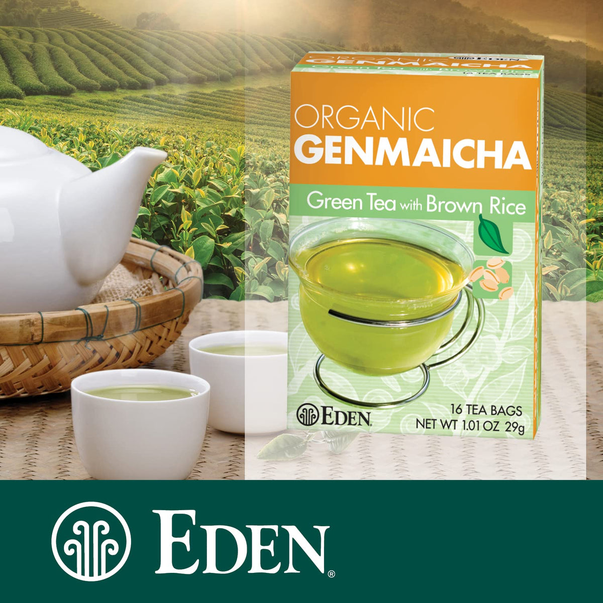 Kettle pouring Eden Genmaicha to reveal a fragrant, balanced brew