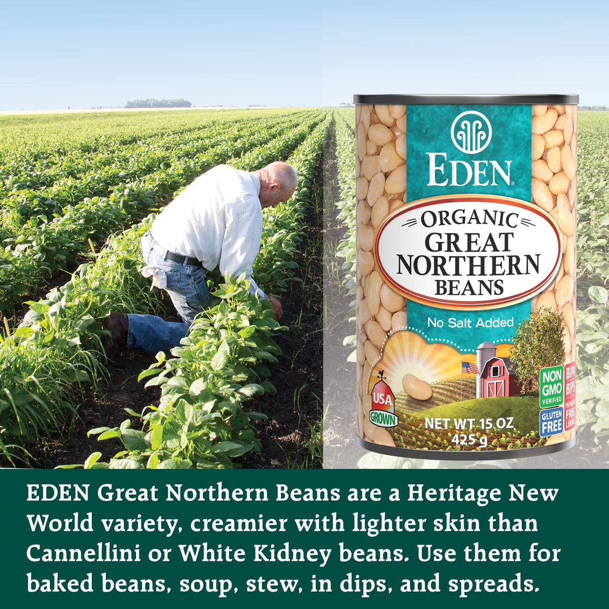 Eden Great Northern Beans in a bowl shows versatile marinated and baked uses.
