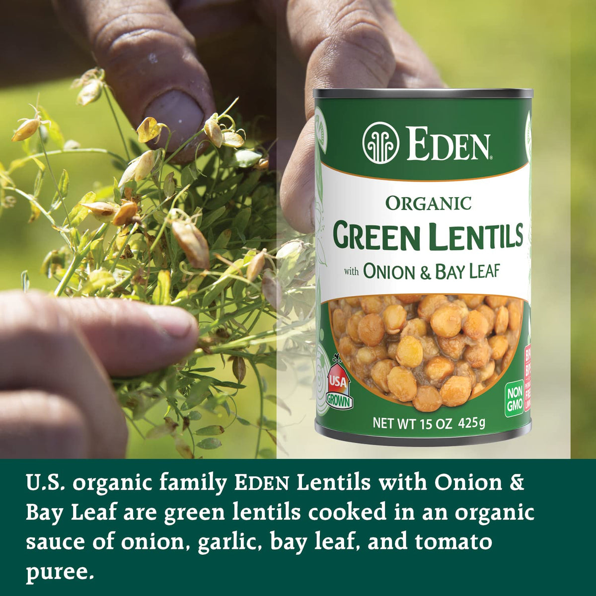 Eden twelve pack case of green lentils for pantry storage.