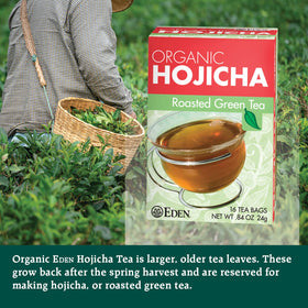 Eden Hojicha close-up of roasted leaves highlighting deep aroma.
