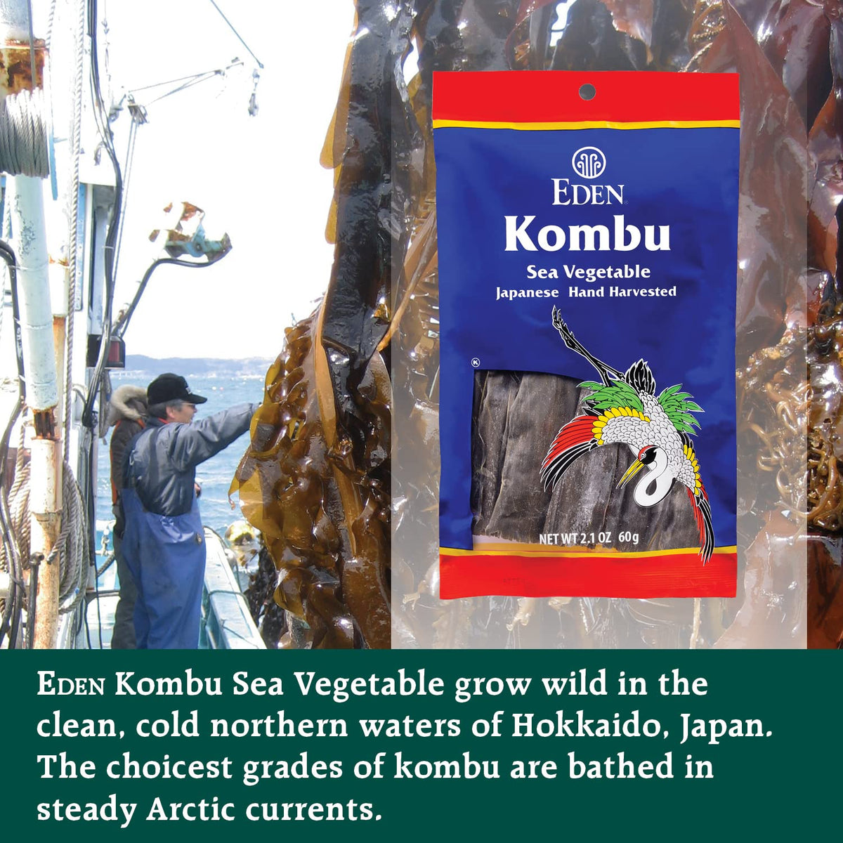 Eden Kombu seaweed for cooking dashi broth in a simmering pot.