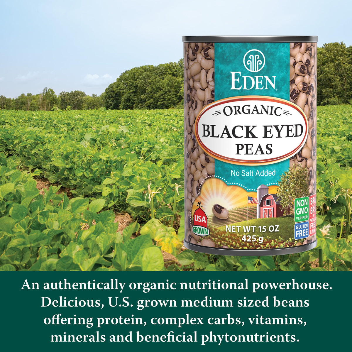 Eden Organic Black Eyed Peas, cooked beans near greens, versatile side dish.