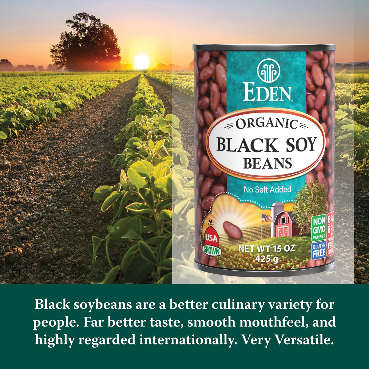 Eden Organic Black Soy Beans pack of 12 cans on a pantry shelf.