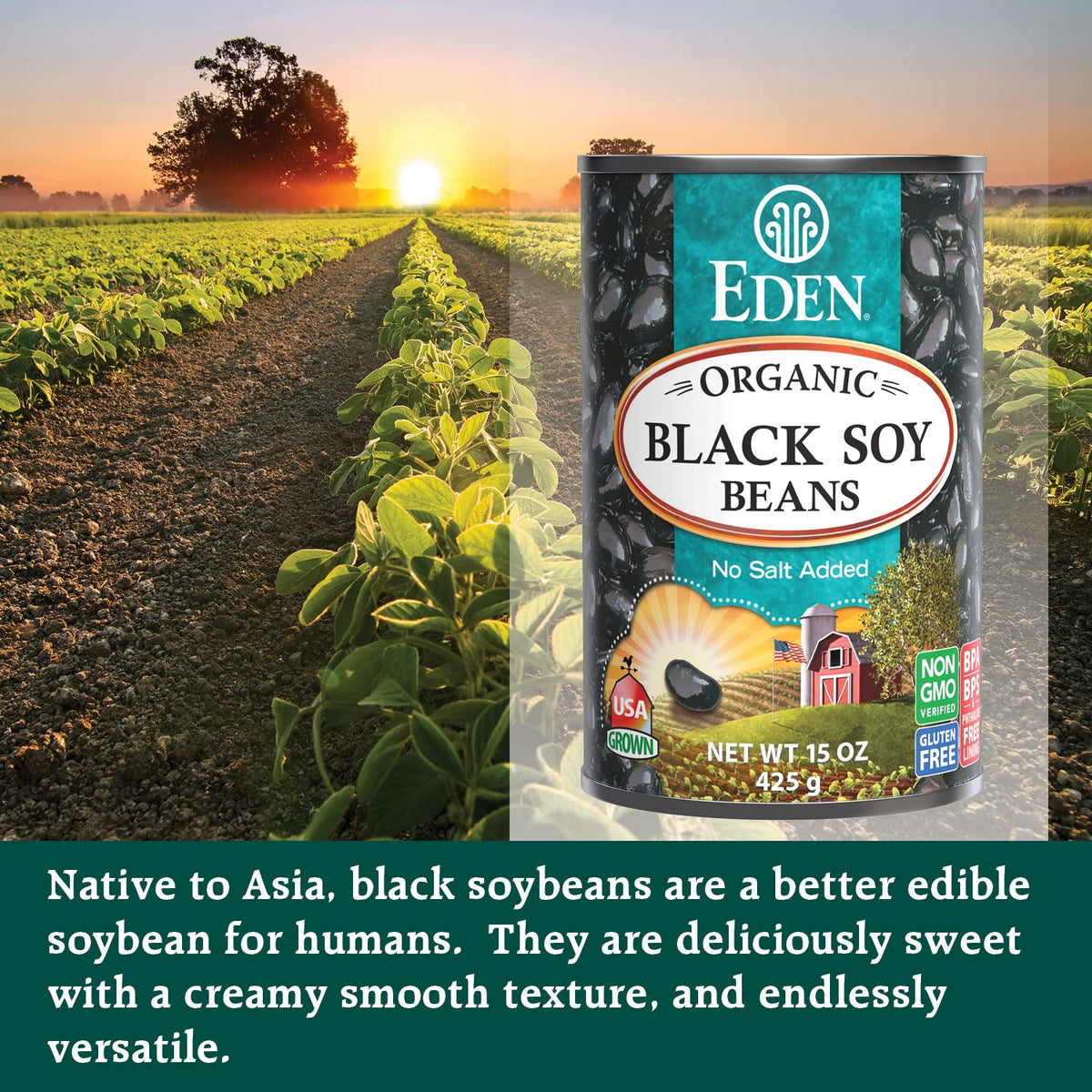 Eden Organic Black Soybeans close-up reveals glossy beans with rich texture.