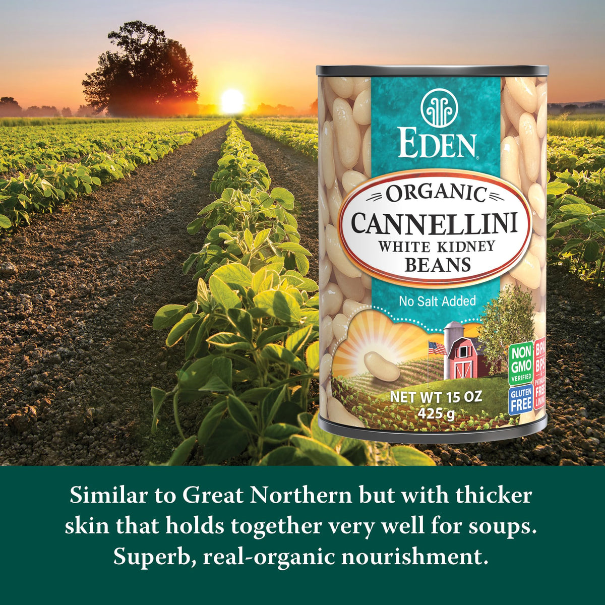 Eden Organic Cannellini beans served in a bowl showcasing creamy texture.