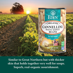 Eden Organic Cannellini beans served in a bowl showcasing creamy texture.